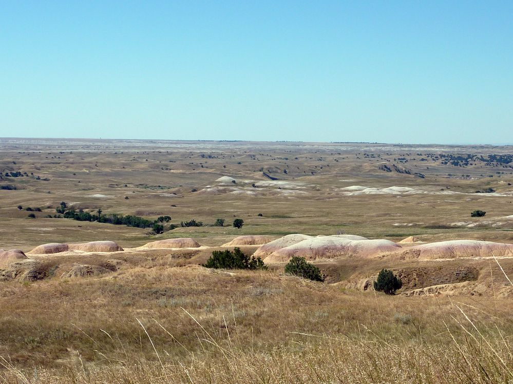Badlands (56).JPG
